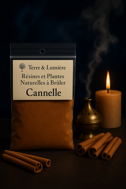 Cannelle