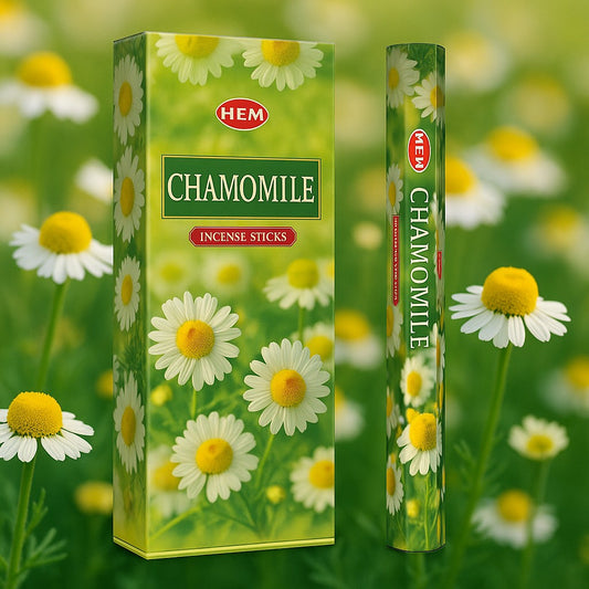 Camomille