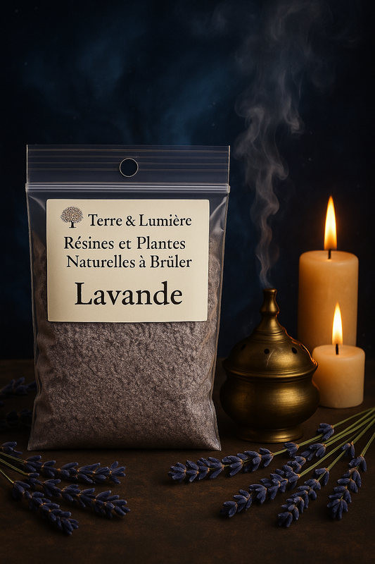Lavande