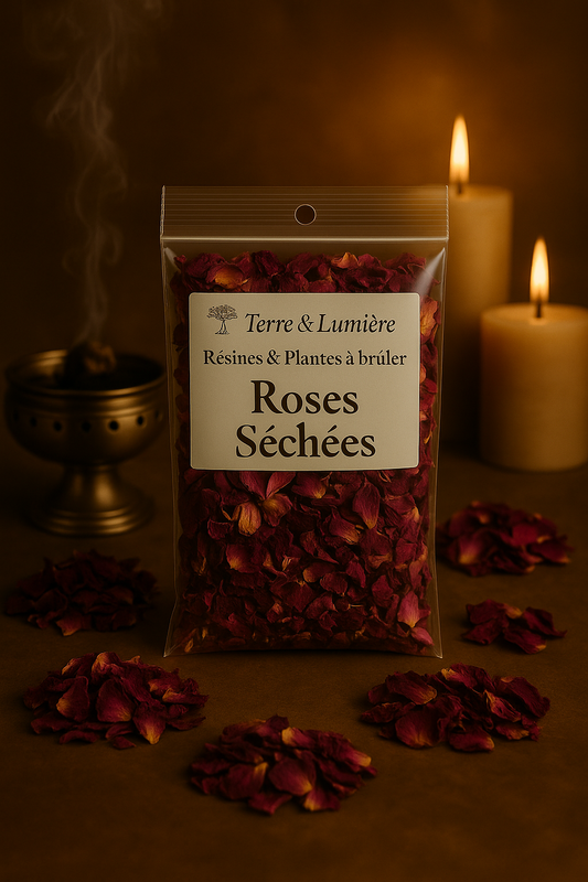 Roses séchées