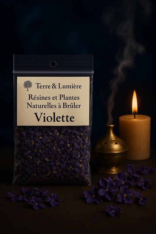 Violettes Séchées